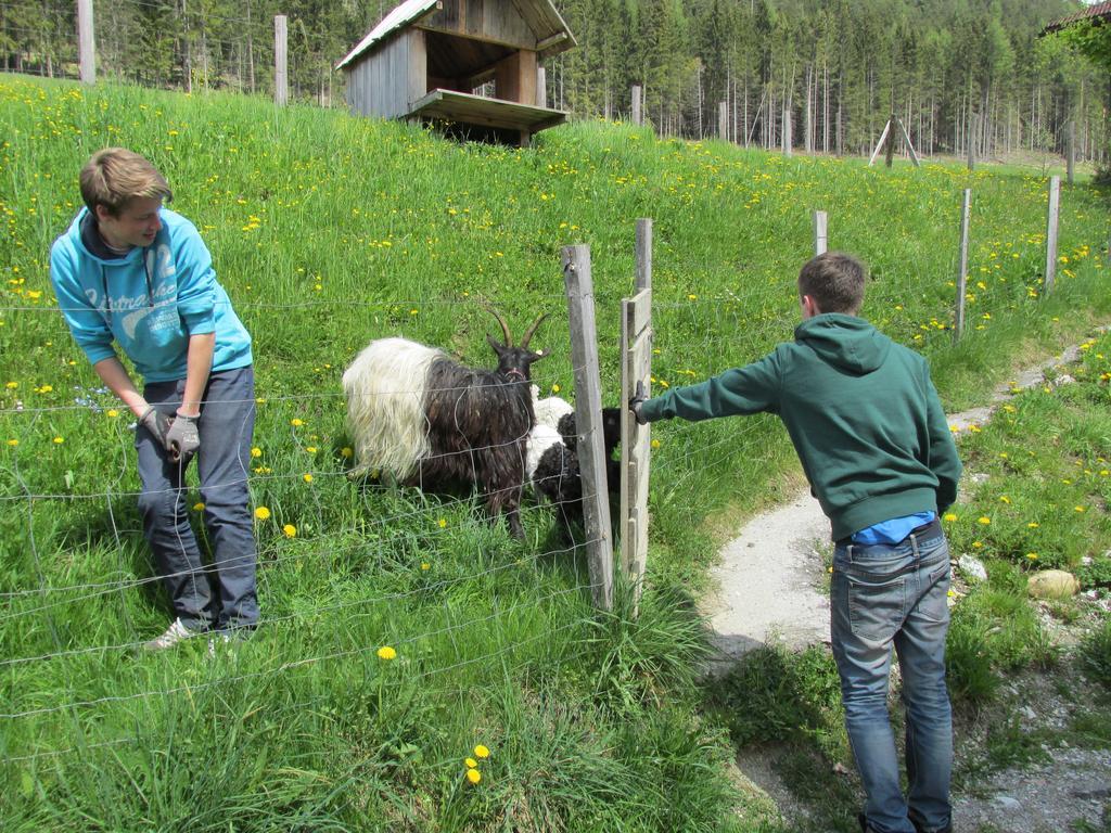 Appartement Zum Roessl Ramsau am Dachstein Dış mekan fotoğraf
