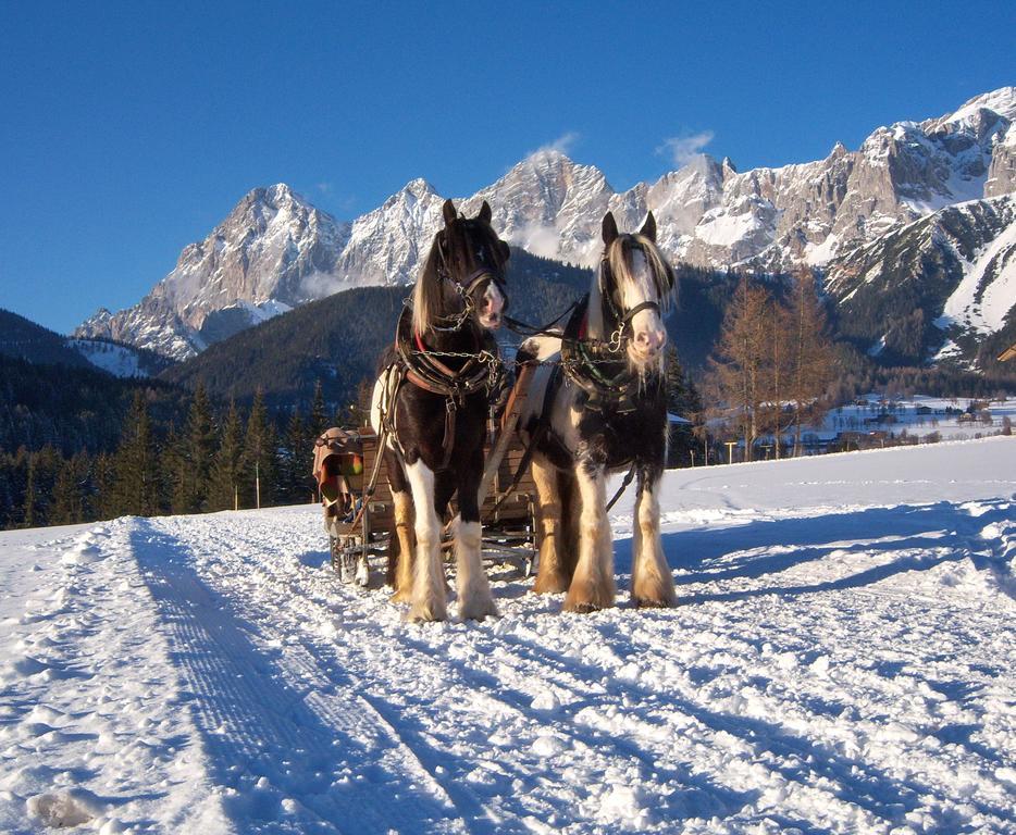 Appartement Zum Roessl Ramsau am Dachstein Dış mekan fotoğraf